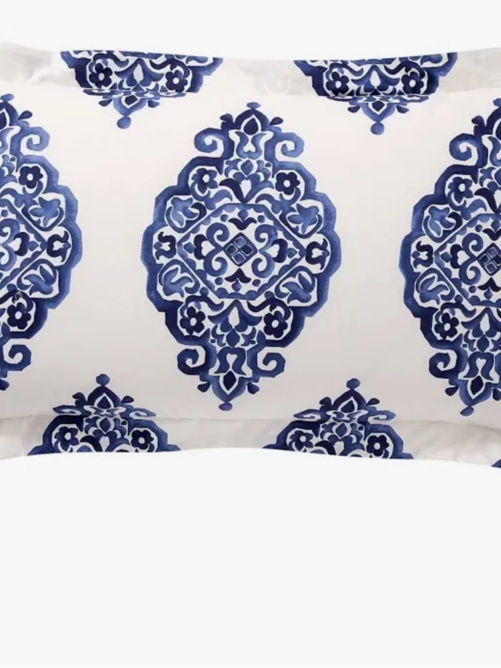 2 Pottery barn Asher Medallion Decorative Pillows Sham, king , organic New